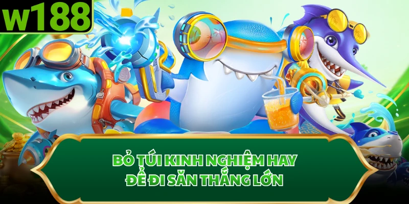 Bỏ túi kinh nghiệm hay để đi săn thắng lớn